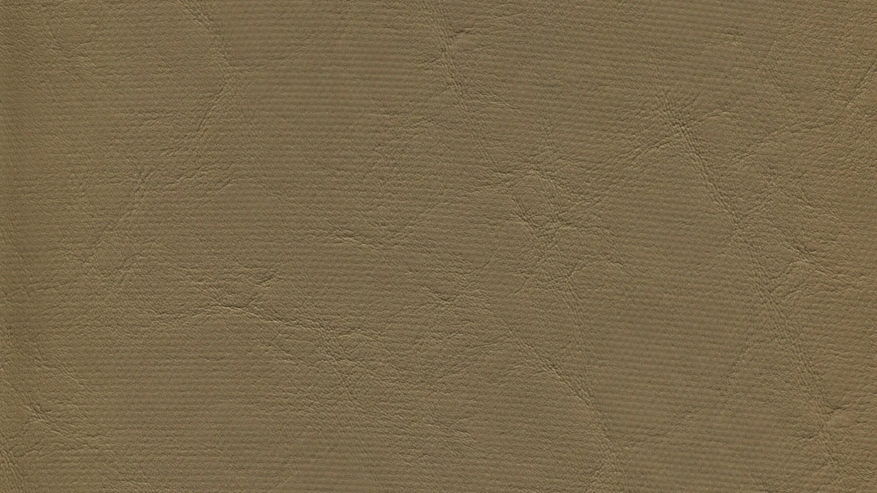 AUGUSTA SOFT RF